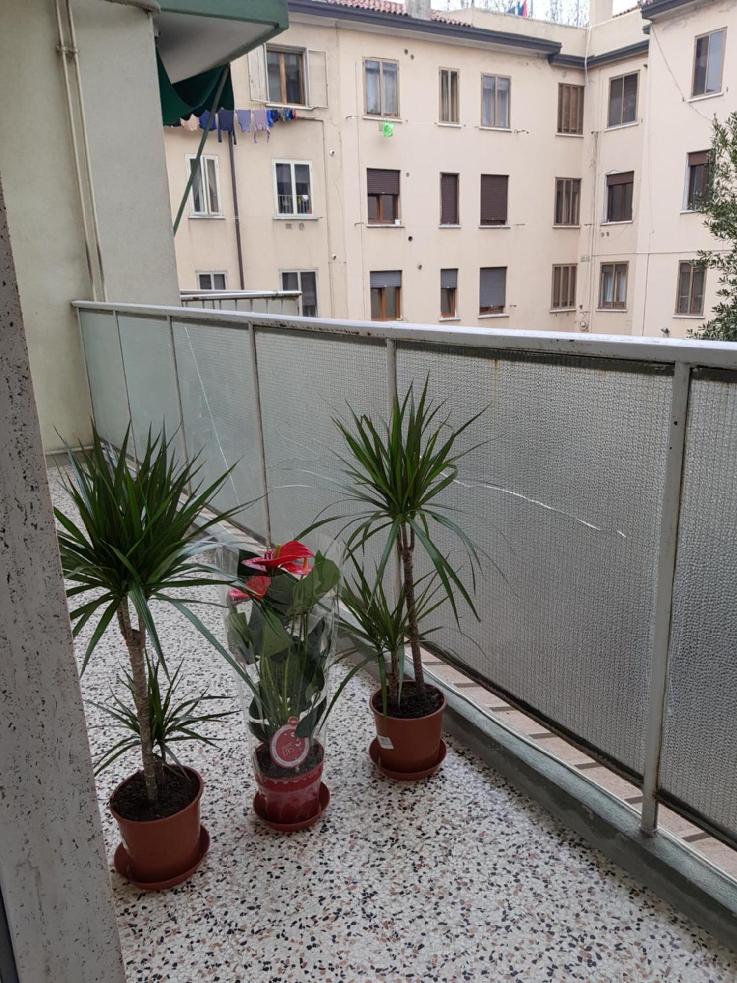 Venice Bnb Mestre Exterior foto